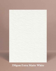 Thank You Cards